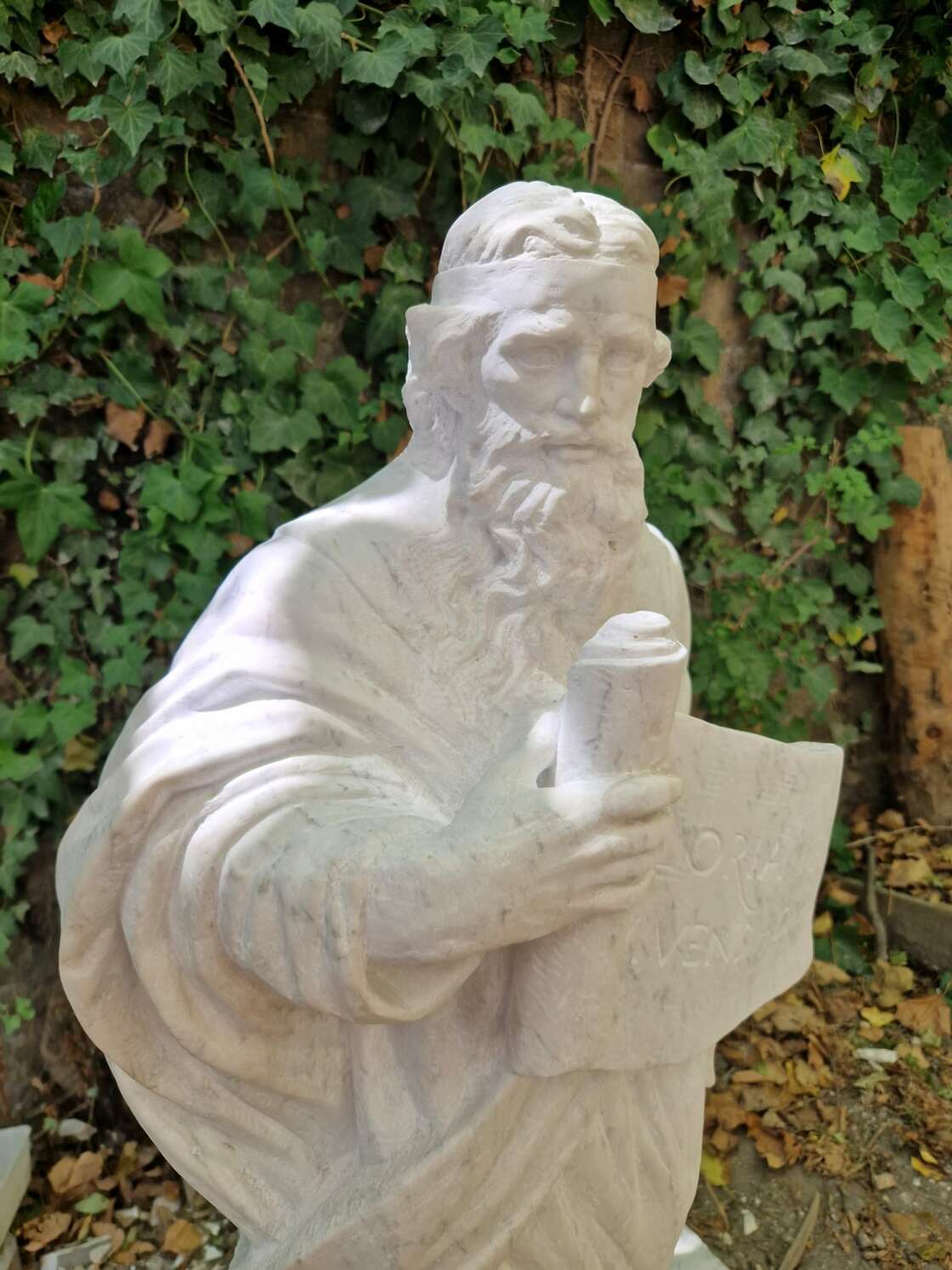 IMG 7876